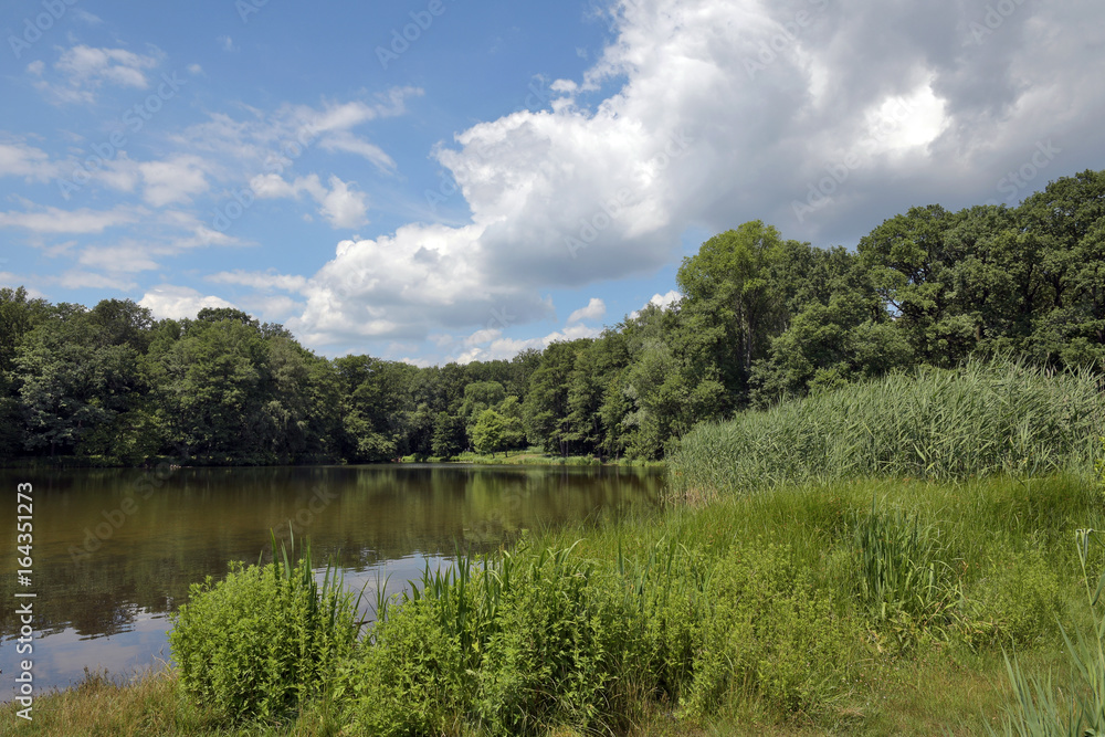 wasserlandschaft