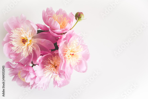 Bouquet of peonies   photo in gentle colors. Good morning. Have a nice day  Place for text