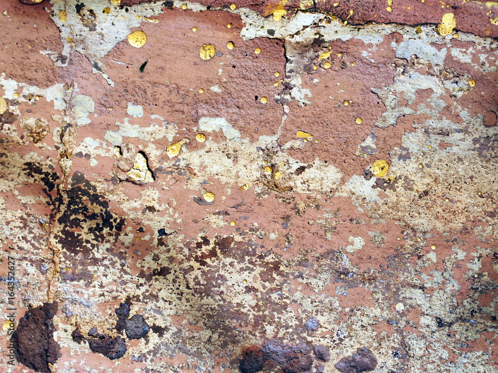Fototapeta premium Background texture of an old plastered wall.