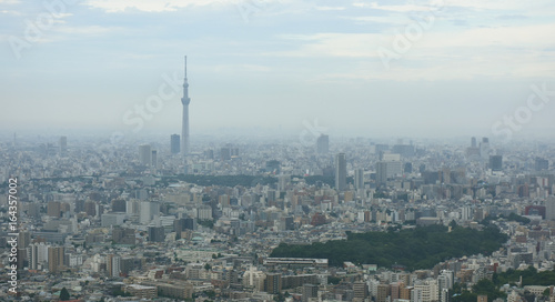 日本の東京都市景観（文京区や台東区、墨田区方面などを望む）