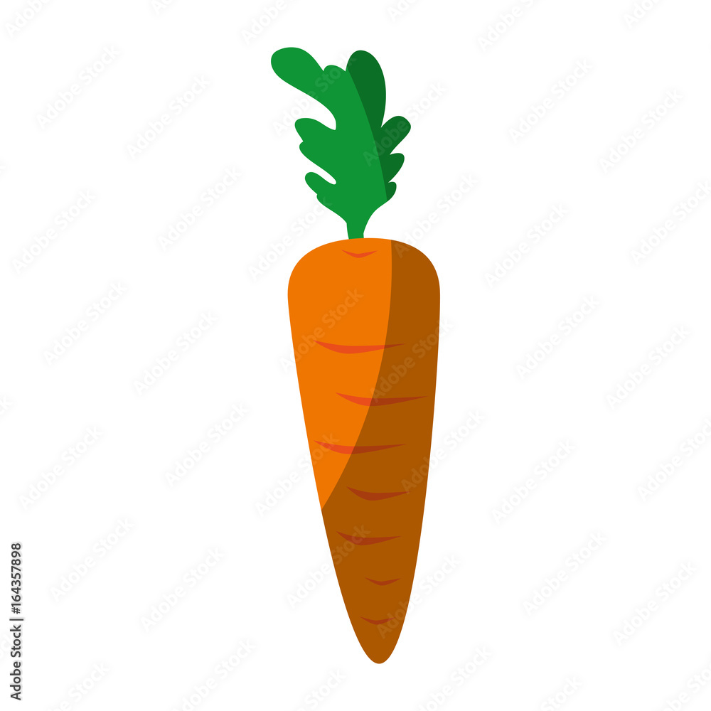 carrot icon over white background vector illustration carrot icon over white background vector illustration
