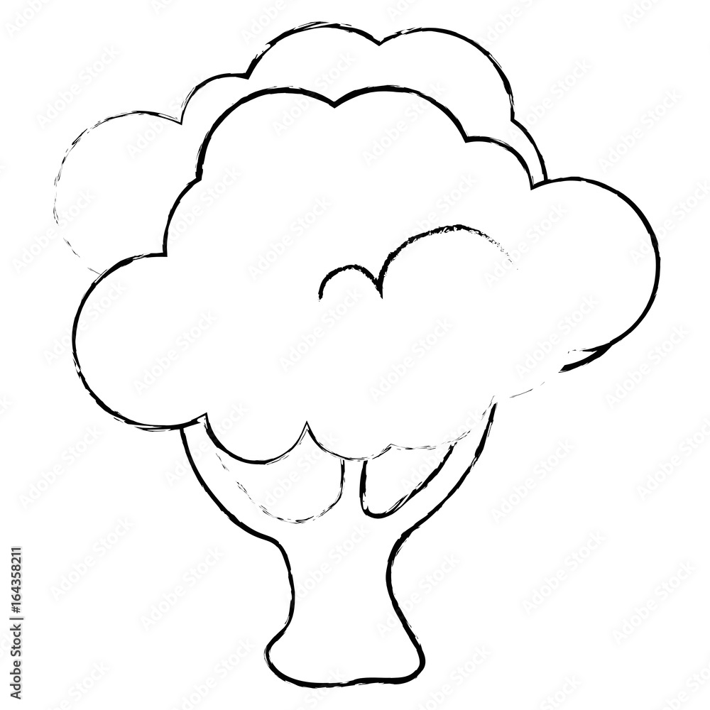 broccoli vegetable icon over white background vector illustration