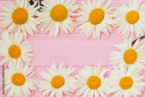Daisy flowers on a pink wooden background. Summer backdrop. © Iryna Chubarova