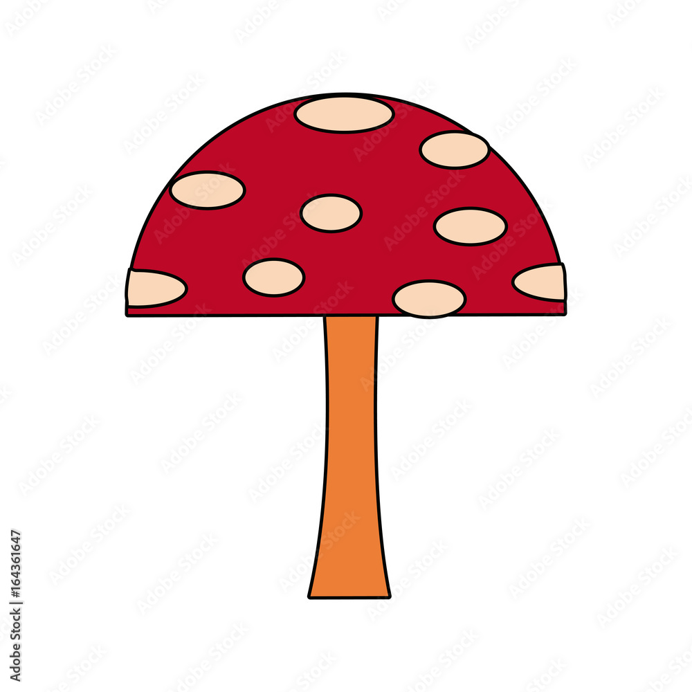 cartoon mushroom educational game for kids cartoon mushroom educational game for kids