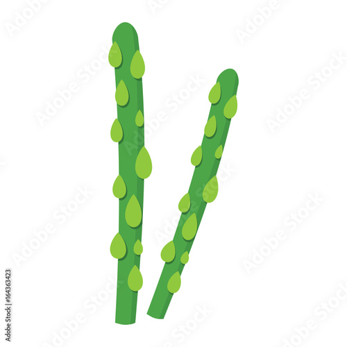 Asparagus icon in cartoon flat style isolated object vegetable organic eco bio product from the farm vector illustration. Asparagus object for vegetarian