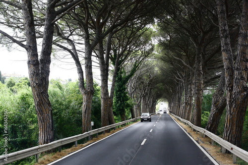 Tableau sur toile Slovenia, Portoroz