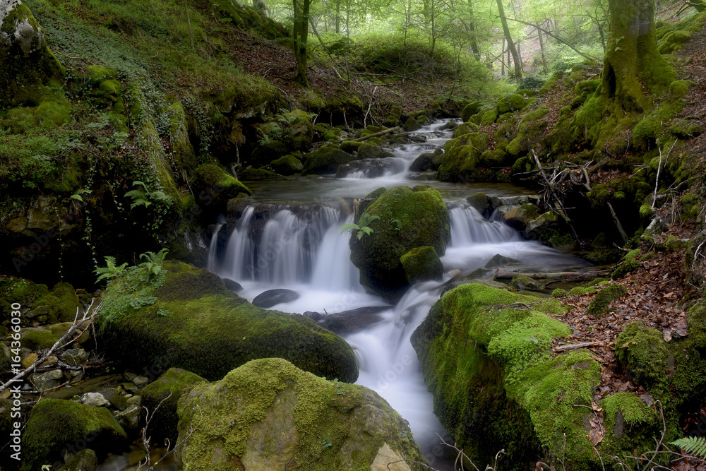 Obraz premium Rincón en Araia - 07