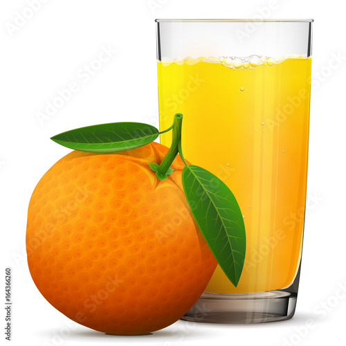 Orange juice in glass isolated on white background. Whole orange fruit with fresh squeezed juice glass. Best vector illustration about beverages, fruits, agriculture, food, gastronomy, etc