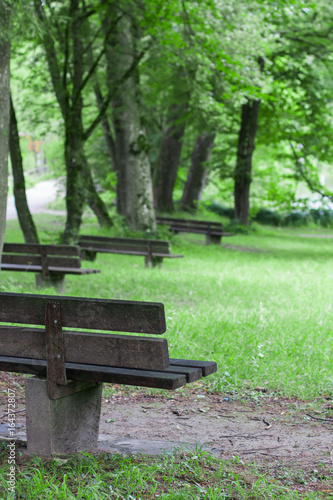 Old wooden bench. Outdoors. A bench in the park. Lonely place in the garden.