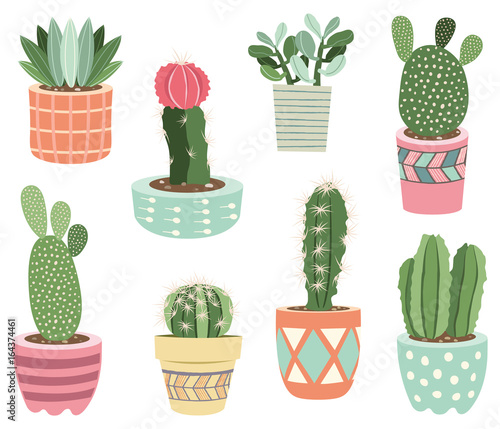 Cactuses potted plants Elements