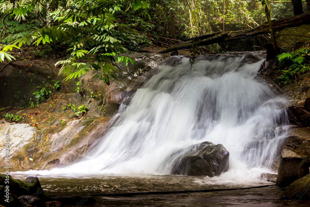 Fototapeta premium waterfall forest stones stream jungle