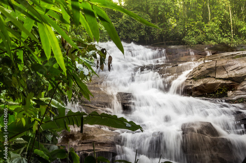 waterfall forest stones stream jungle