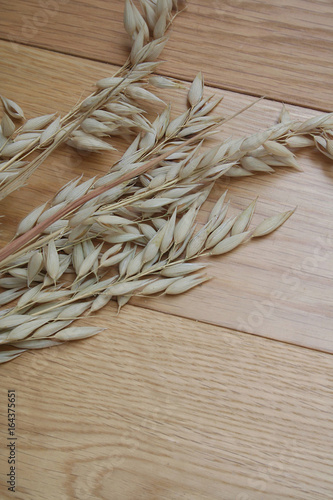 Pianta di Avena  su tavolo di legno photo