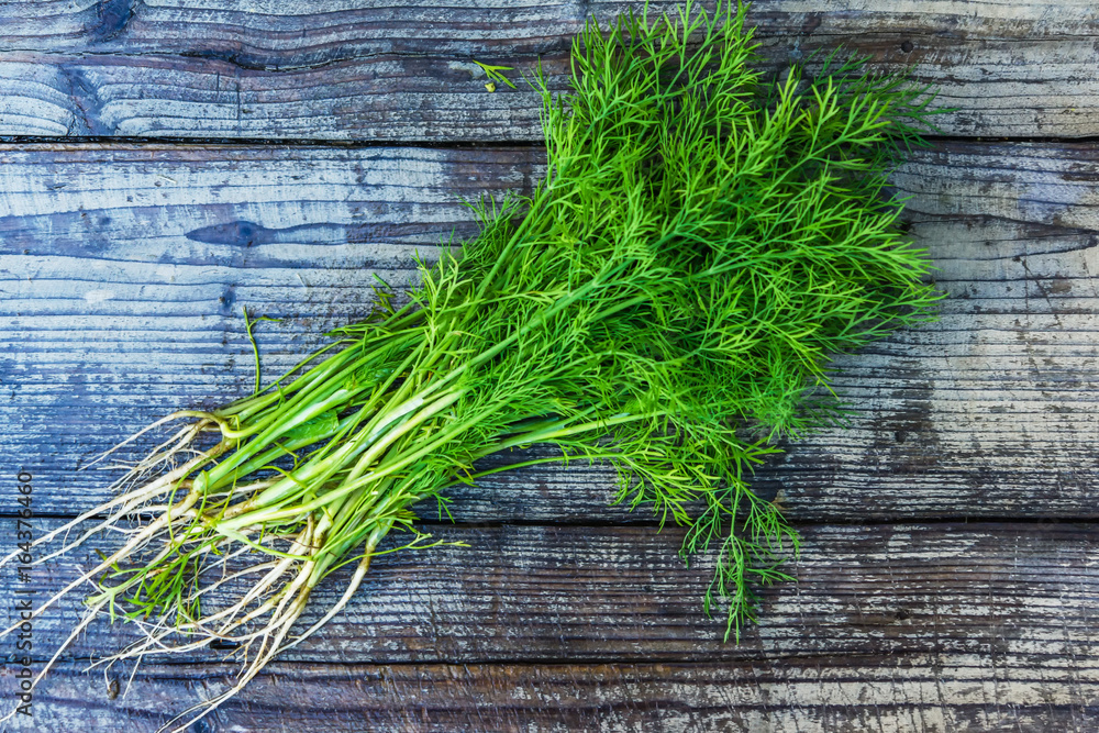 A bunch of dill on wooden table A bunch of dill on wooden table