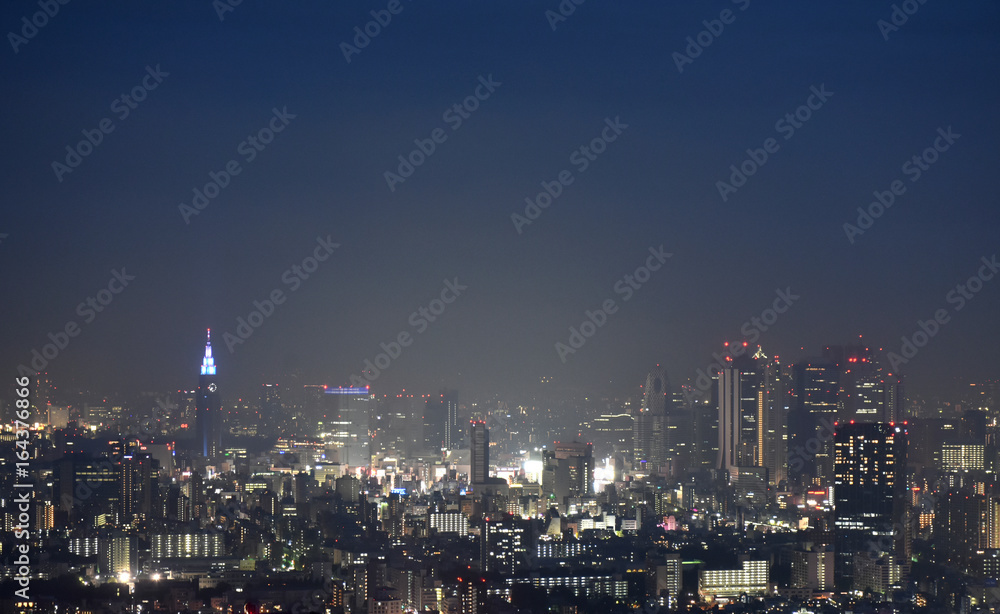 日本の東京都市景観・夜景「新宿区方面などを望む」