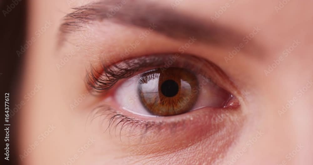 Extreme close up of Caucasian millenial's eye. Macro close-up of young, white female's brown eye blinking. 4k Extreme close up of Caucasian millenial's eye. Macro close-up of young, white female's brown eye blinking. 4k