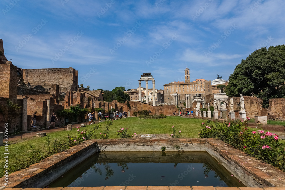 Fototapeta premium Ruins of Forum Romanum in Rome, Italy