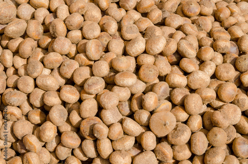 native raw chestnut in thailand. a kind of chestnut. pile of thai chestnut in local market native raw chestnut in thailand. a kind of chestnut. pile of thai chestnut in local market