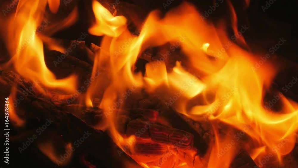 close up shot of blaze fire flame at night, 4k close up shot of blaze fire flame at night, 4k