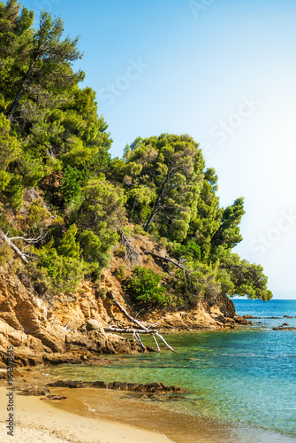 Nature on the island of Skiathos with the blue sea and green cypresses © Irma