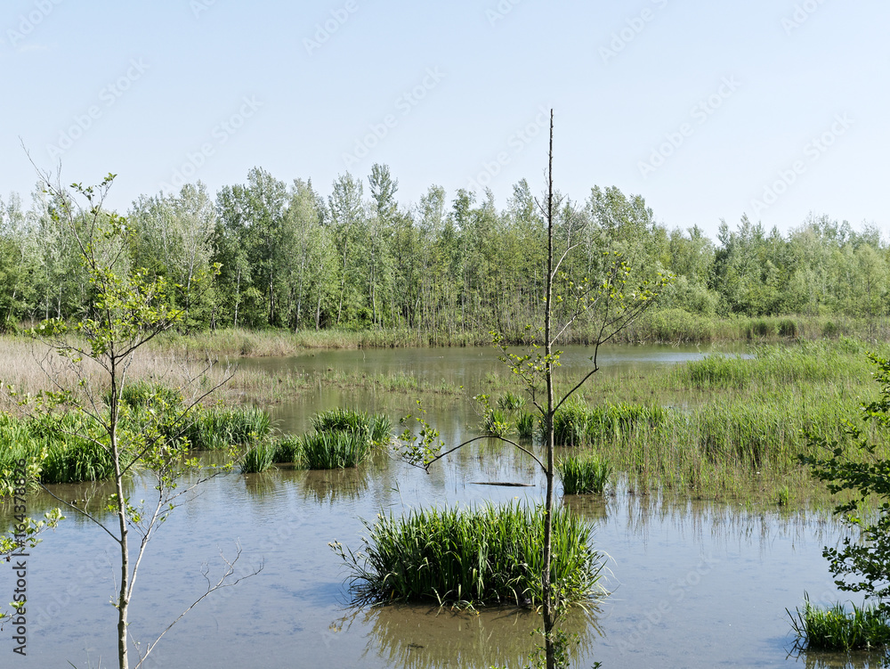Obraz premium lake of porta in tuscany