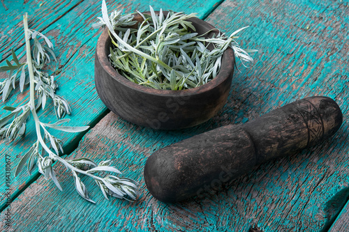 Branch of medicinal wormwood