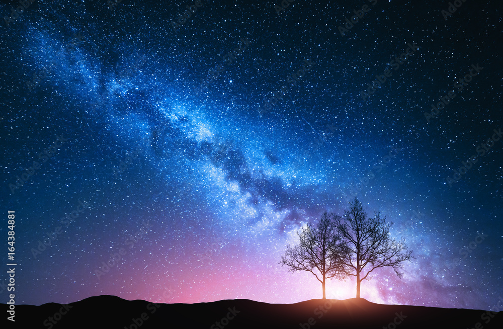 Starry sky with pink Milky Way and trees. Night landscape with alone ...