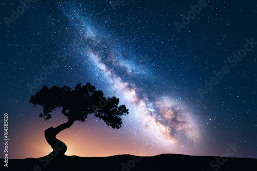 Milky Way with alone old crooked tree on the hill. Colorful night landscape with bright milky way, starry sky and tree in summer. Space background. Amazing astrophotography. Beautiful universe. Travel photo