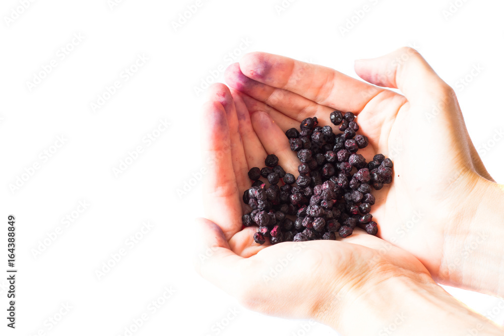 Freeze dried blueberries on a white background. Freeze dried blueberries on a white background.
