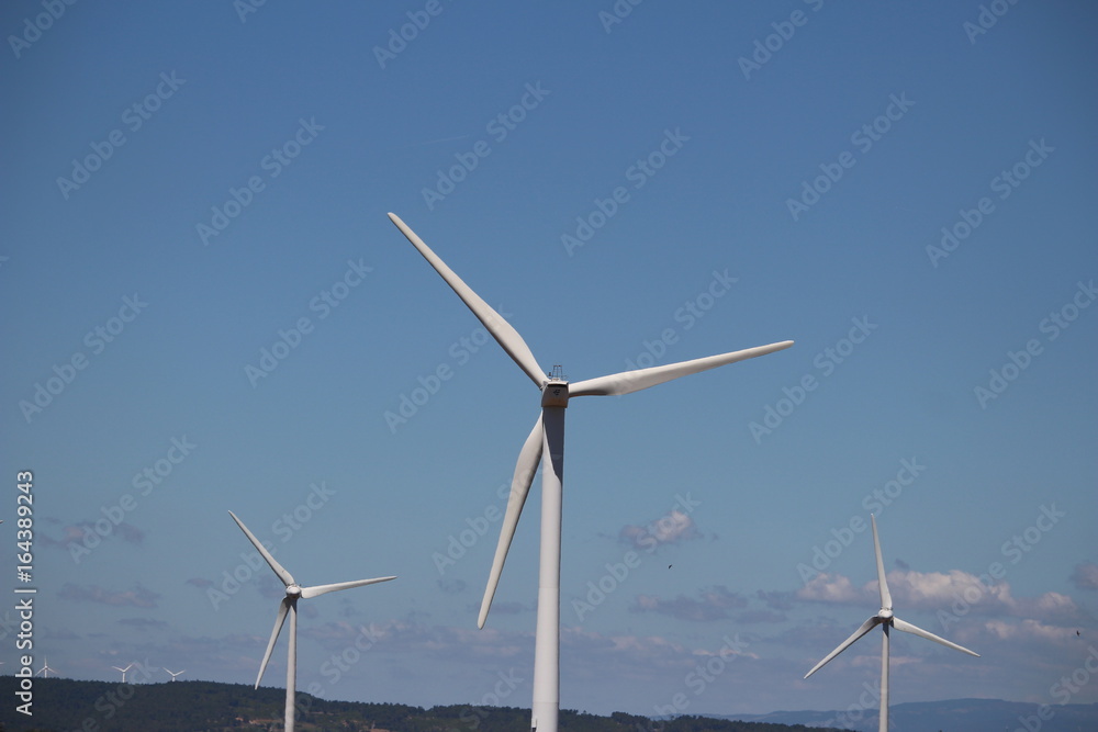 Fototapeta premium éolienne dans le vent