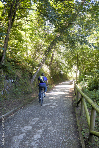 cyclist going in a ride in a path in Asturias, Spain