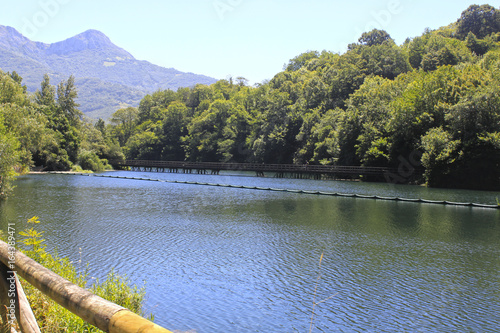 bridge over a lake near the mountains surrounded of trees  Spain