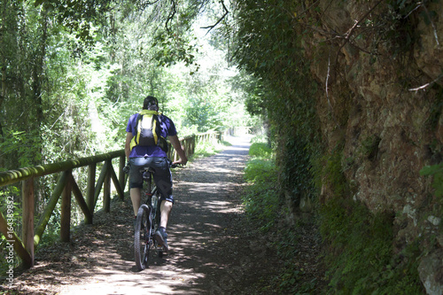 cyclist near a wooden fence in the bear path in Asturias, Spain
