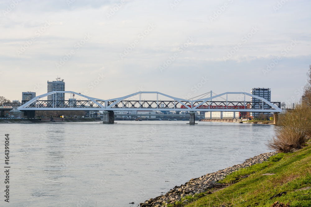 The bridge from Mannheim to Ludwigshafen over the river Rhein with a train on it