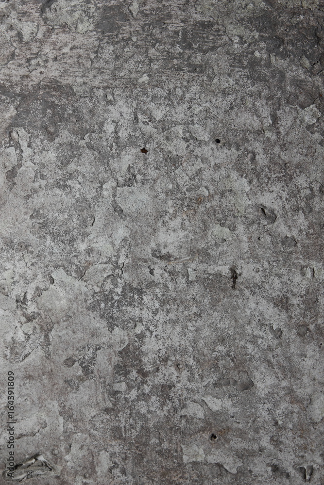 Obraz premium Gray texture of cement for designer