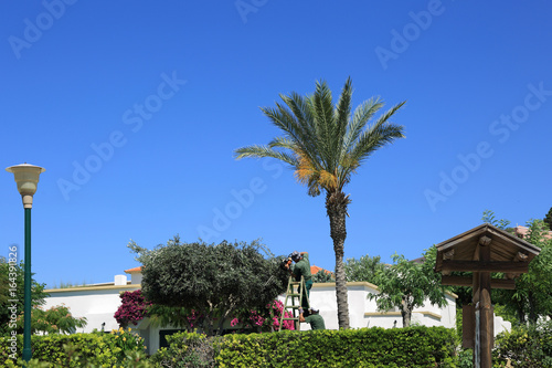 Ogrodnik przycina drzewko nożycami w pięknym ogrodzie hotelu, Rodos w Grecji.