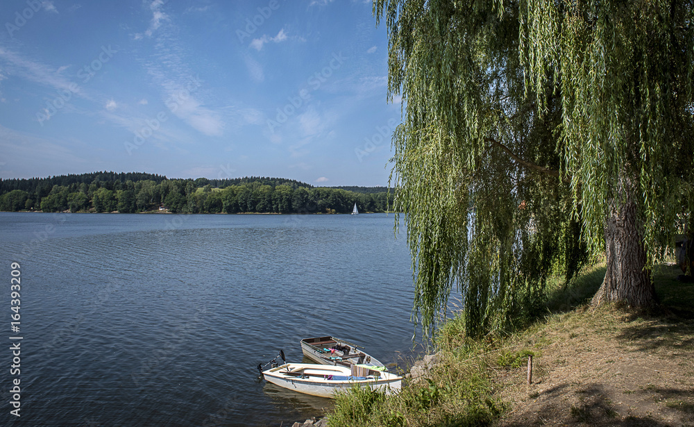 The boats by the shore and a tree on the slap dam