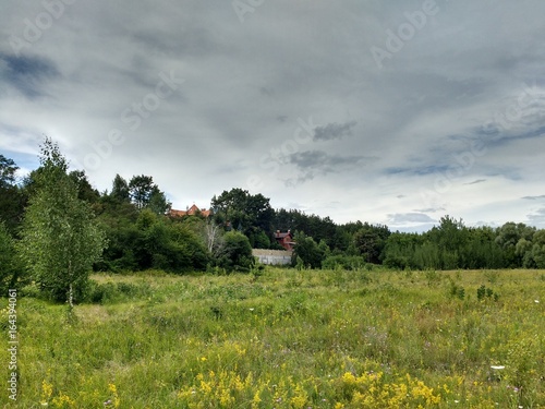 Fotografija Country landscape, forest edge