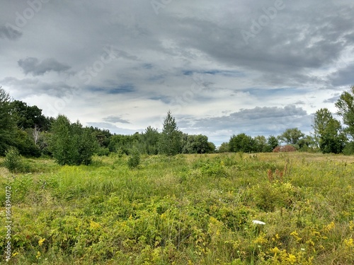 Fototapete Country landscape, forest edge