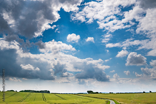Tableau sur toile Field and blue sky in Denmark