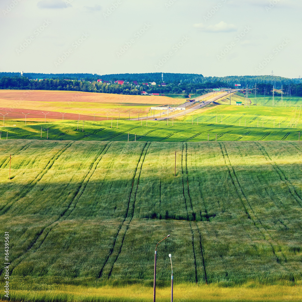 Green meadows and fields under blue sky. Rural summer landscape. Minsk region, Belarus.