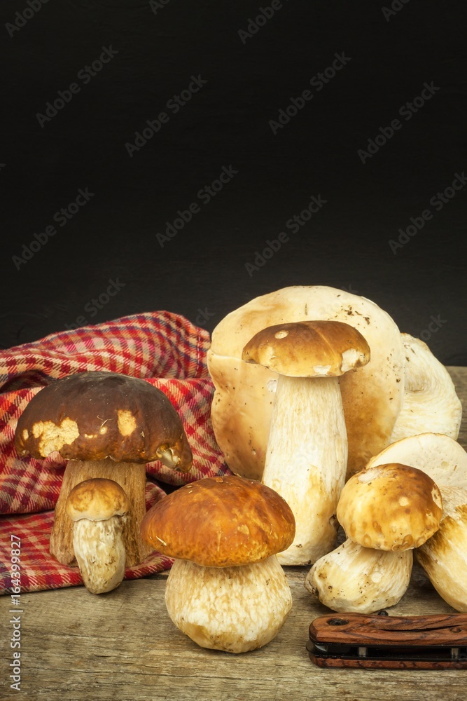 Fresh boletus mushrooms on wooden table. Collecting mushrooms for delicious food.