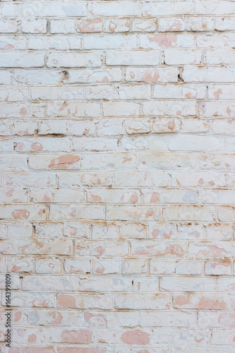 Background of a common brick wall of white color