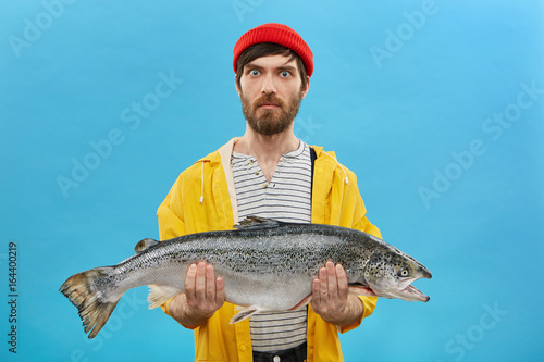 Indoor shot of serious surprised fisherman with blue eyes and beard wearing red hat and yellow jacket holding huge fish in hands demonstrating his catch isolated on blue background. Fishing concept