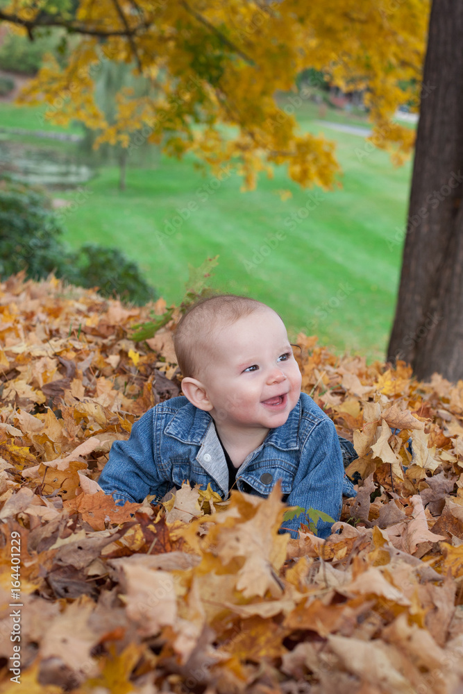 Little baby girl smiling, playing in the fallen leaves in autumn. Little baby girl smiling, playing in the fallen leaves in autumn.