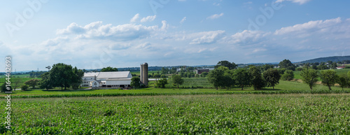 Fotografia, Obraz Amish country farmland