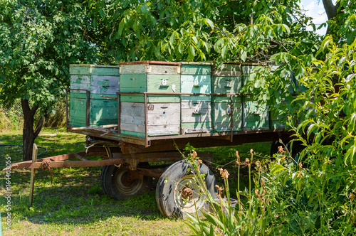 Mobile apiary-trailer at forest © rostovdriver