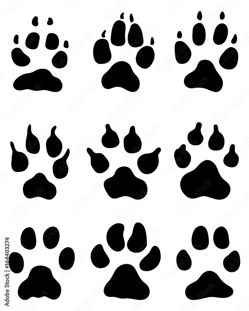 Black print of dogs paws on white background Black print of dogs paws on white background