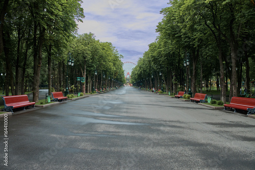 The central alley of Gorky Park in Kharkov. Summer morning after rain. People are walking in the park.