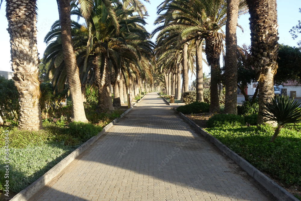 Fototapeta premium Promenade